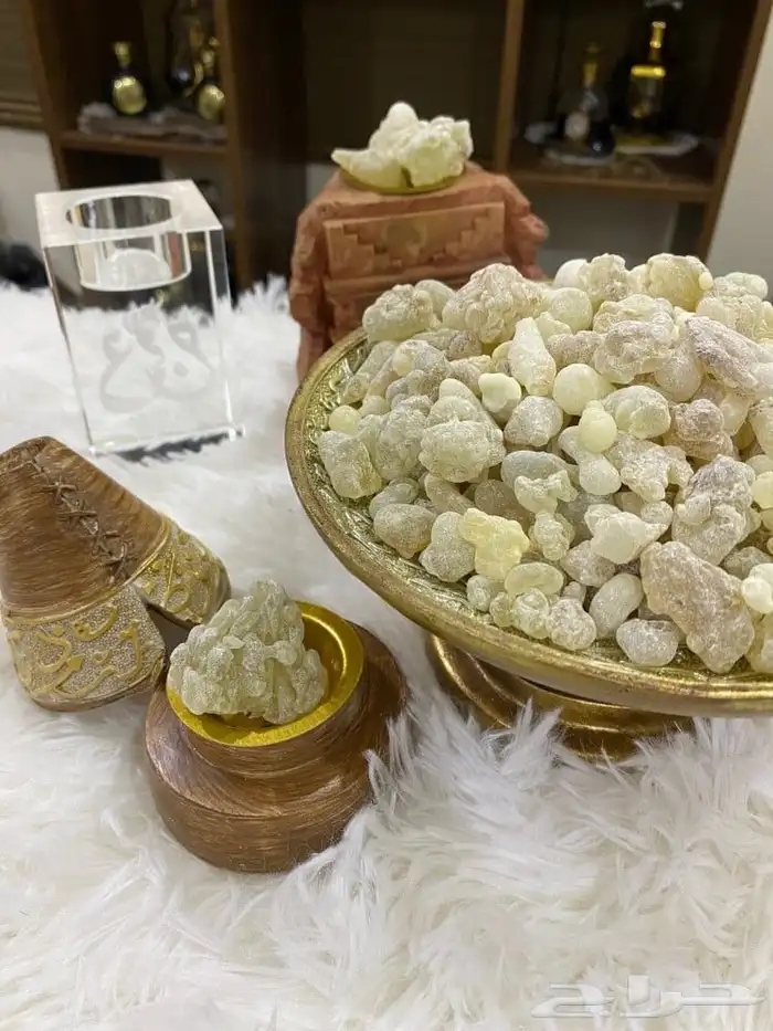 لبان الذكر كنز طبيعي من أرض الأصالة اللبان الذكر 0