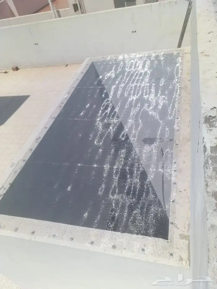 طارد الحمام المدين  المنور  مندوب اجمل 7