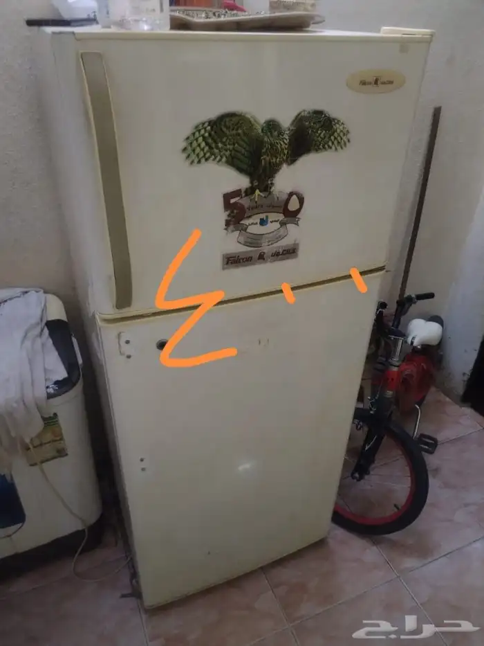 أم الحمام 4