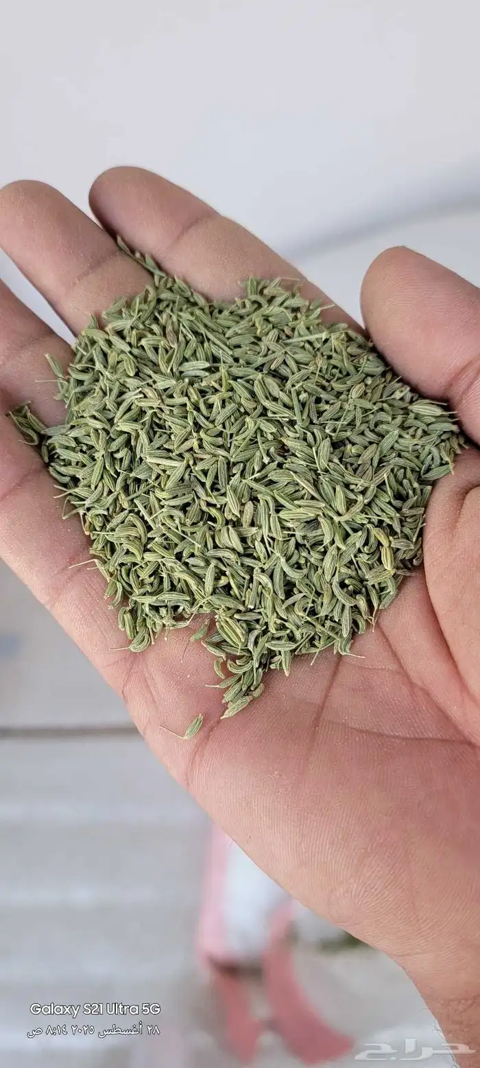 قشر خولاني. قهوه خولاني خظرا ذره صفرا يمني. ذره حمرا يمني 2