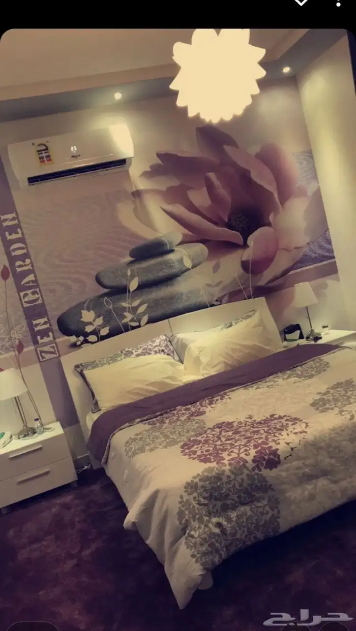 شقه مؤثثه حي الواحه 0