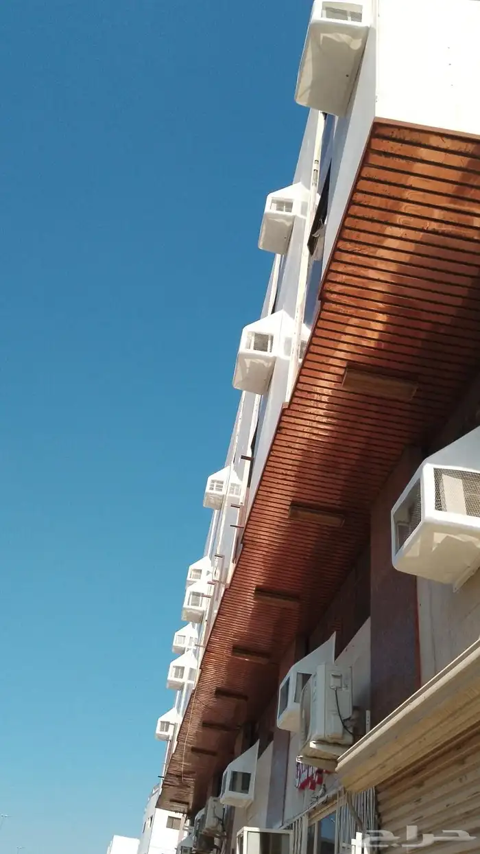 طارد الحمام المدين  المنور  مندوب اجمل 2