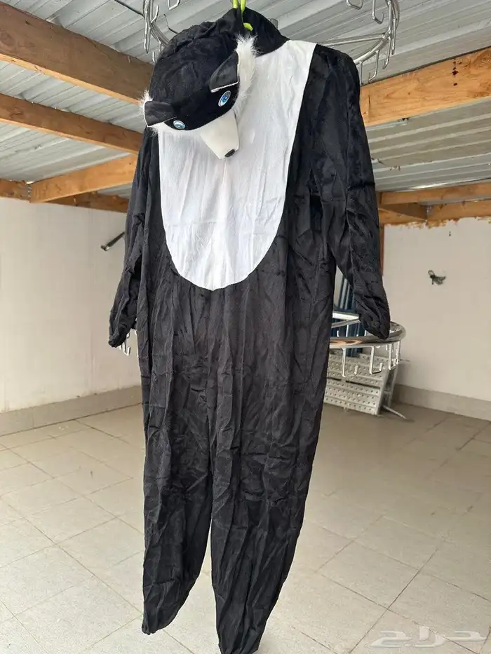 دراجة رياضية لم تستخدم. باسكل. مكتب .كرسي 13