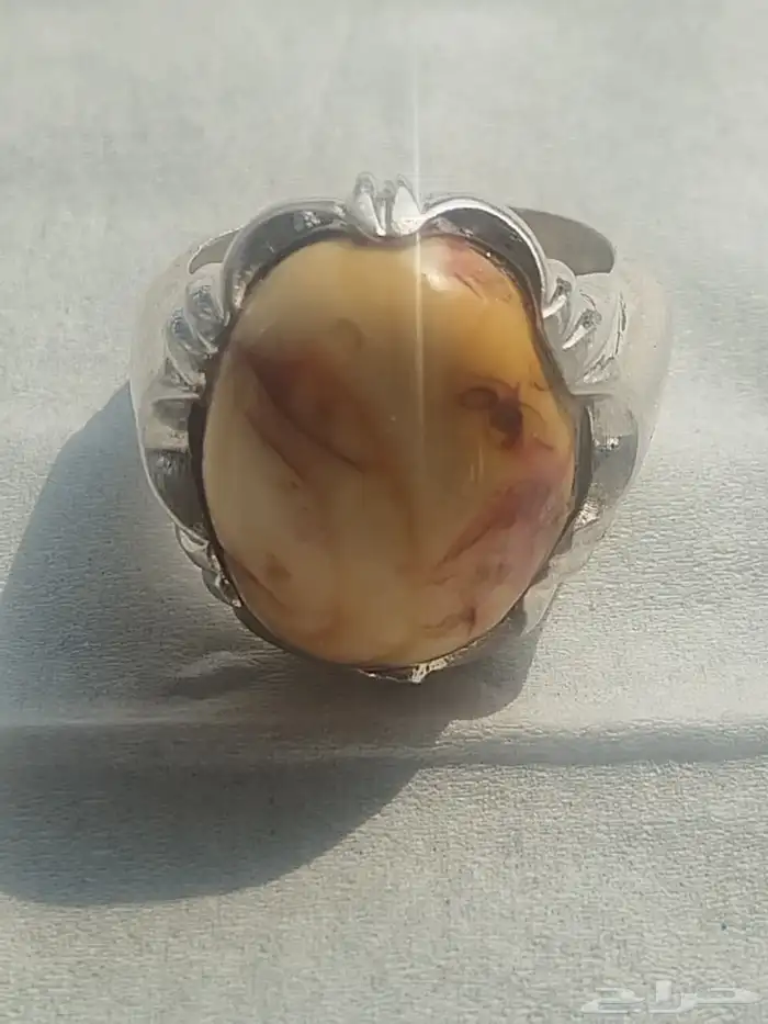 اكسسوارات الرجل 0