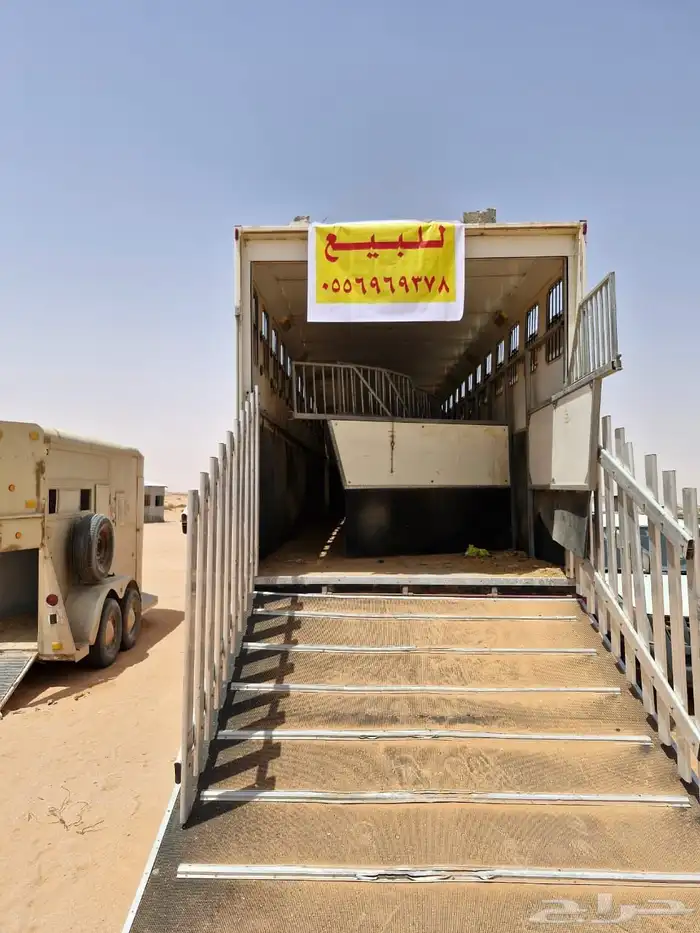 عربة نقل   خيل 13 رأس 0