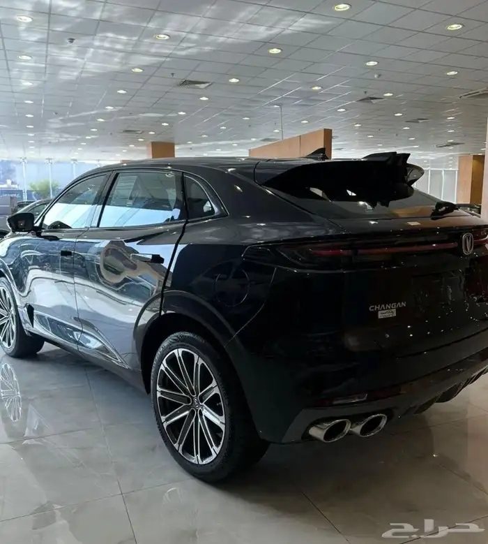 تصفيات شانجان يوني كي 2025 3