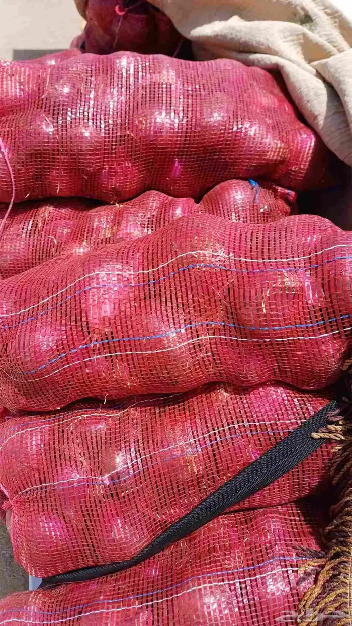 بصل جمله من المزرعه 0