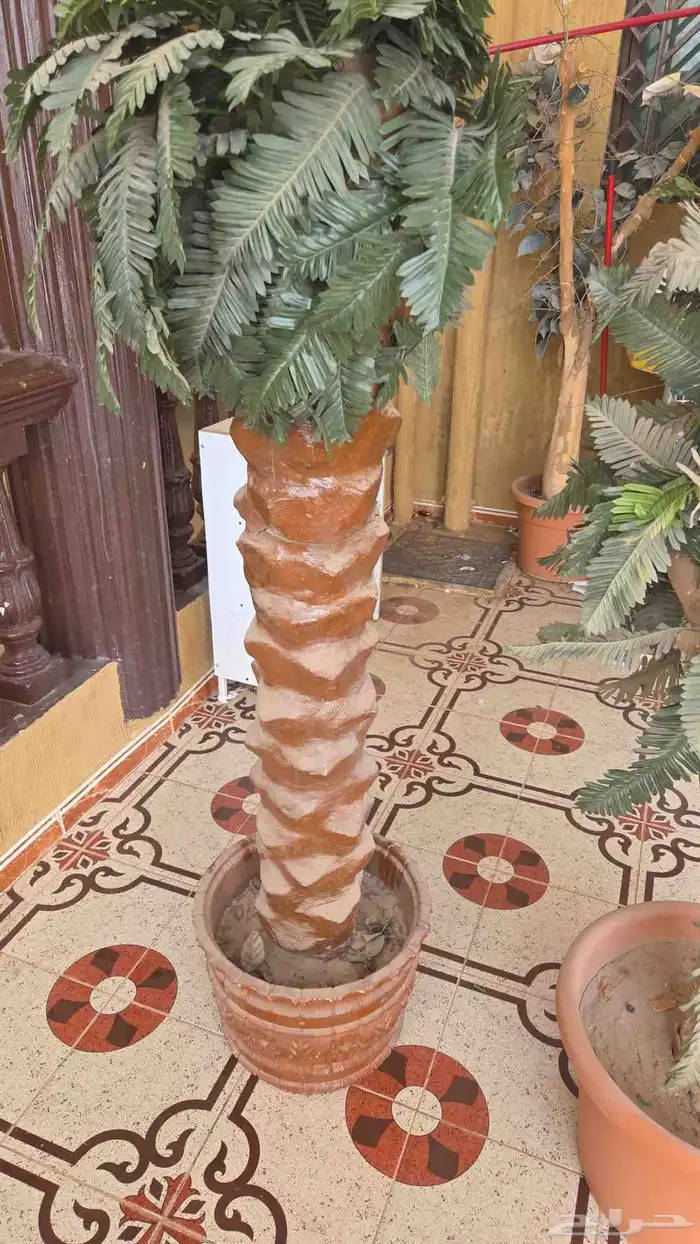 كماليات اثاث 1
