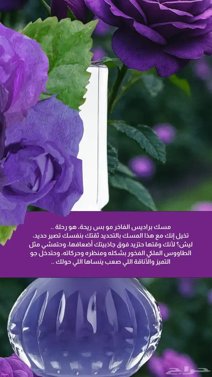 مسك برادايس فاخر ثقيل رهيب ورزة 0