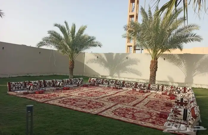 تاجير كنب 7
