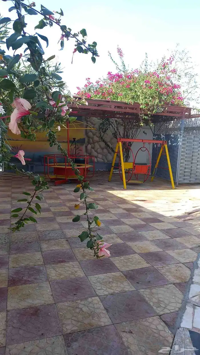 استراحه للايجار باليوم بالشهر بالسنه في الطائف حي القلت قسم 5