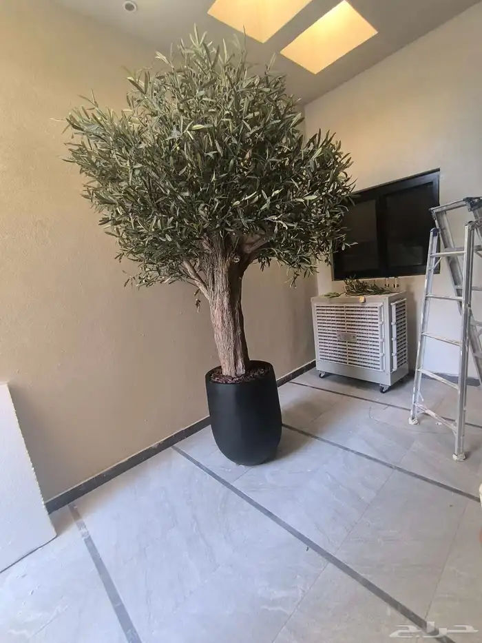 اشجار زيتون صناعي 7