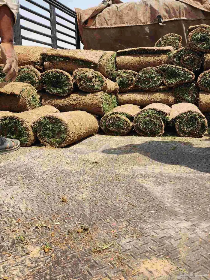 ثيل طبيعي C2000 من مزارع الخرج الدلم 4