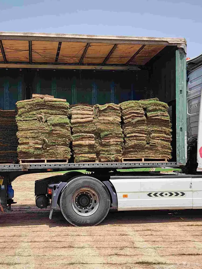 ثيل طبيعي C2000 من مزارع الخرج الدلم 3