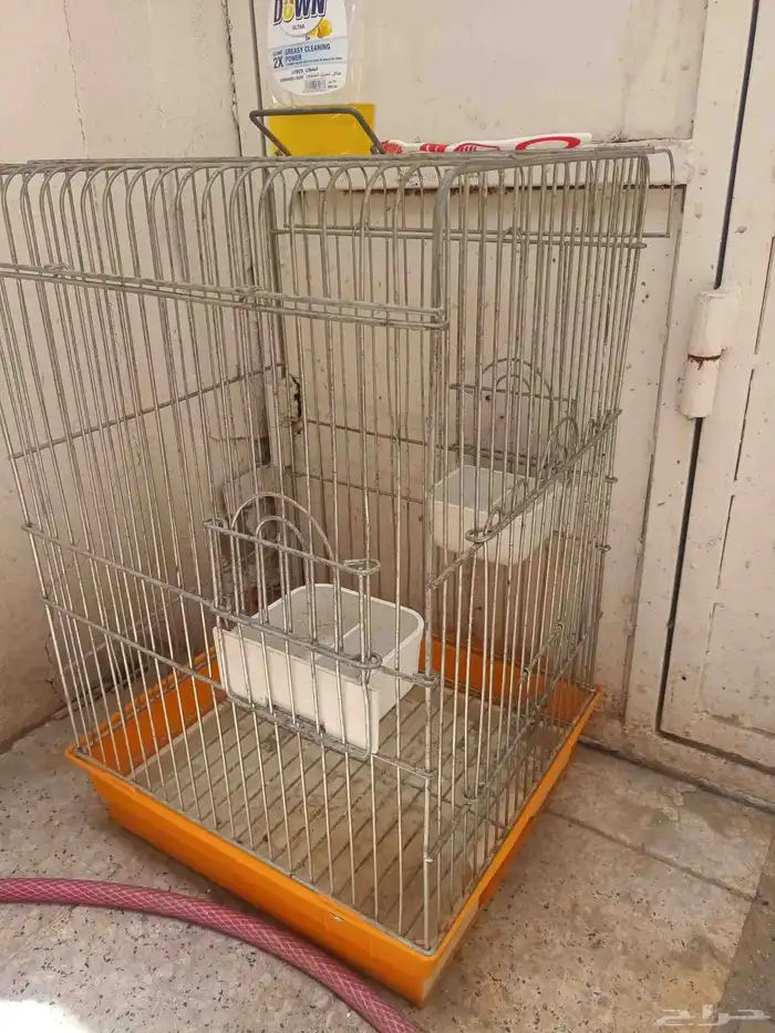 قفص لي البيع السعر 100 0