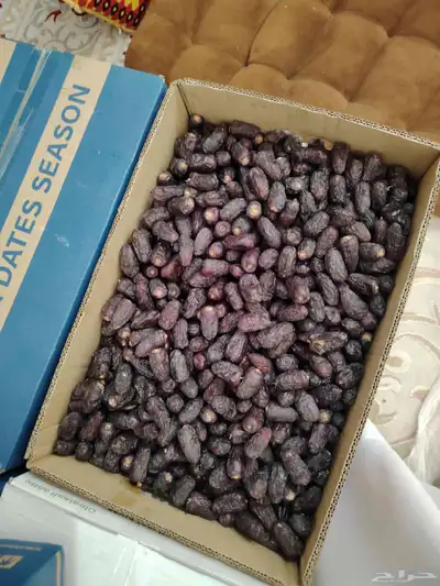 534 0