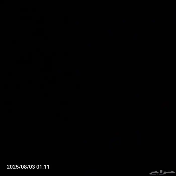 بطتين بكيني العمر اسبوعين صحتها ممتازه شرط 0