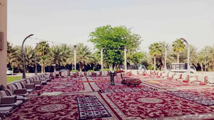 تاجير كنب 5