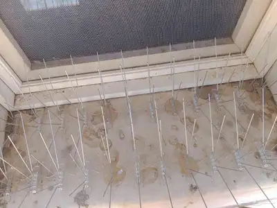 شركة طاردالحمام مع تركيب مدينة المنو ره 2