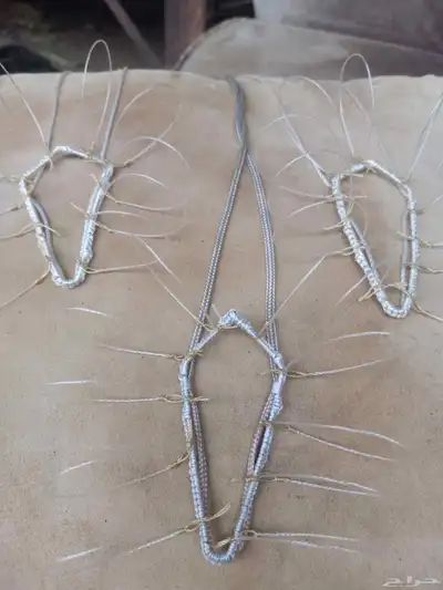 شبك بطرح الصقور 3