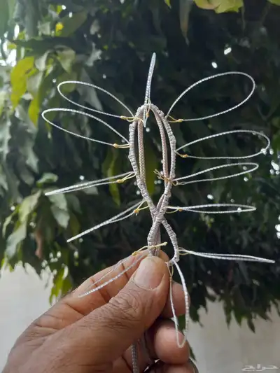 شبك بطرح الصقور 2