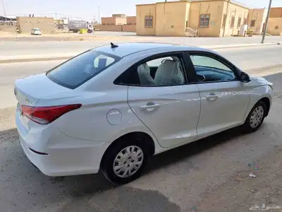 شنجان السفن 2023 6