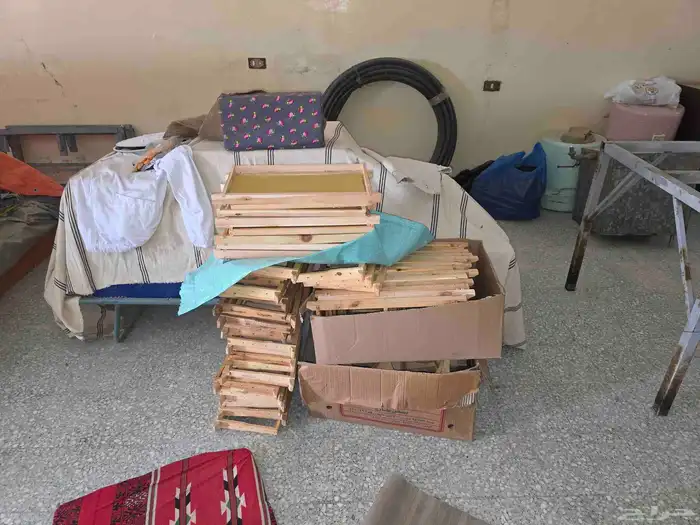 الباحة 2