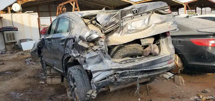 شنجان 85CS. تشليح شنجان 85 موديل 2022 2