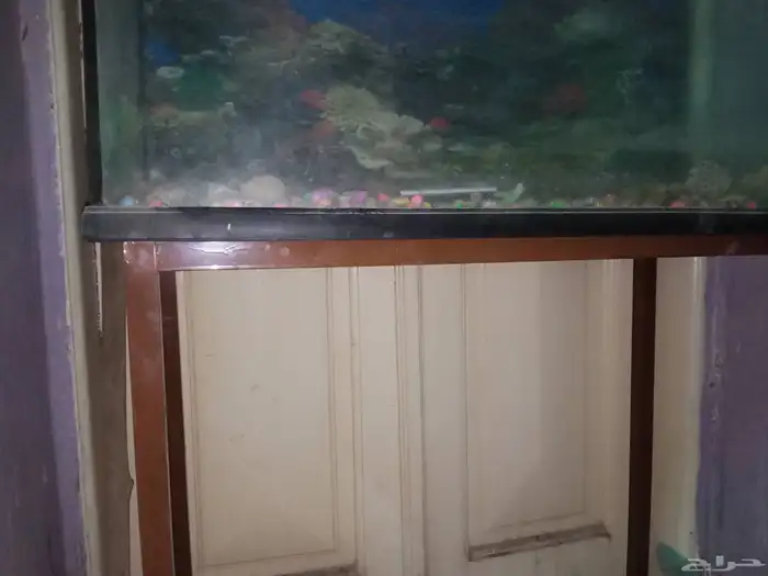 حوض سمك استخدام قليل 0