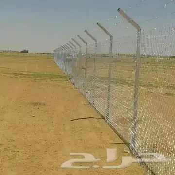 شبوك ونخيل وجميع الأشجار 6