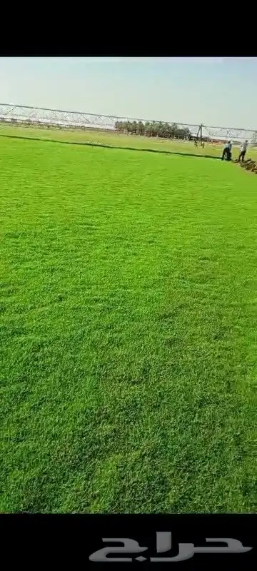 تيل طبيعي شلالات نوافير مظلات 3