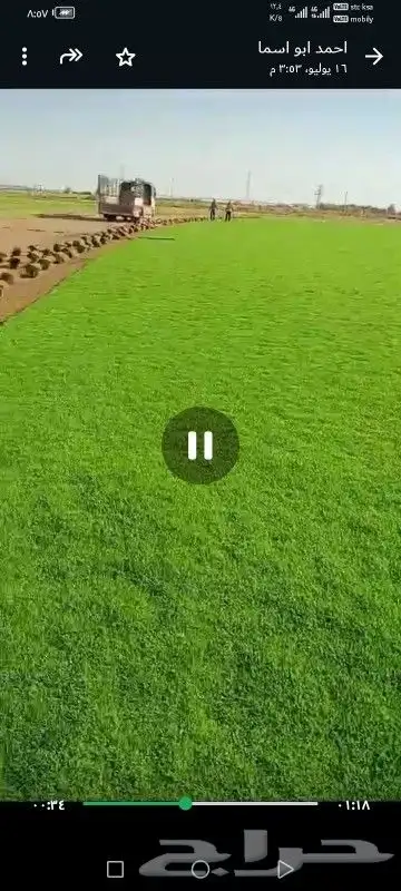 تيل طبيعي شلالات نوافير مظلات 1