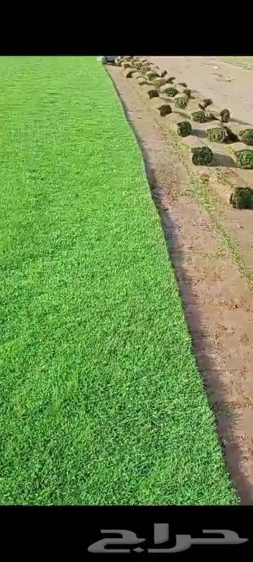 تيل طبيعي شلالات نوافير مظلات 2