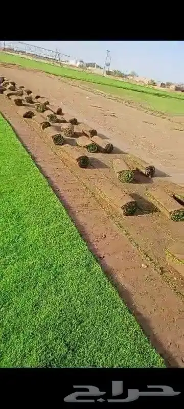 تيل طبيعي شلالات نوافير مظلات 0