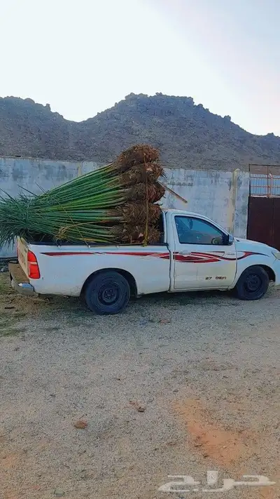 فسايل بثمرها طالع بتجاه الطائف مكه جده 0