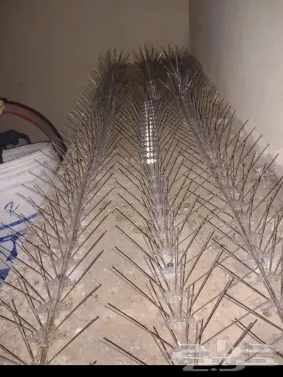 شركة طاردالحمام مع تركيب مدينة المنو ره 6