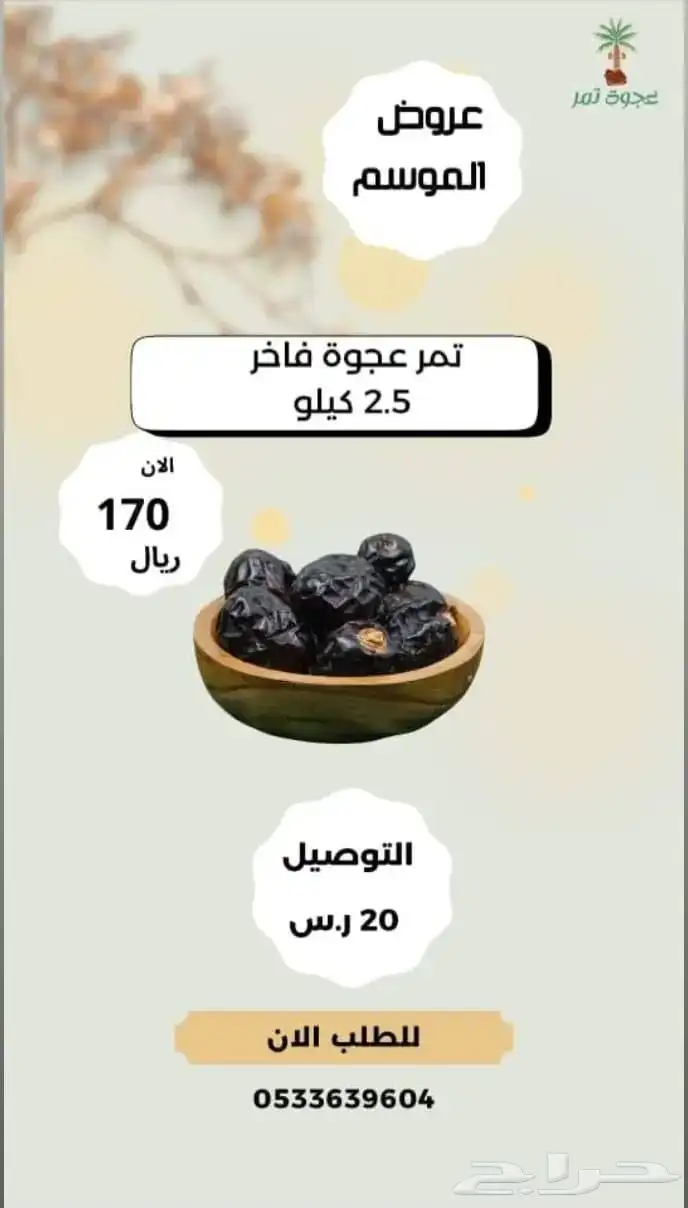 عجوه المدينه 0