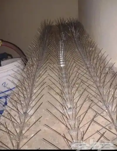 شركة طاردالحمام مع تركيب مدينة المنو ره 1