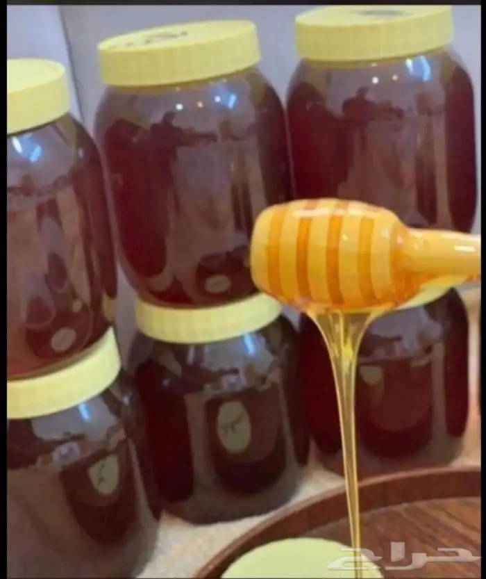 عسل سدر اصلي 100 100 1