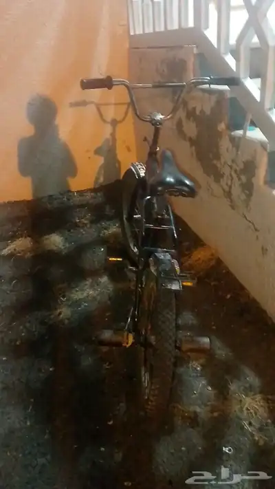 سيكل رامبو اصلي 1