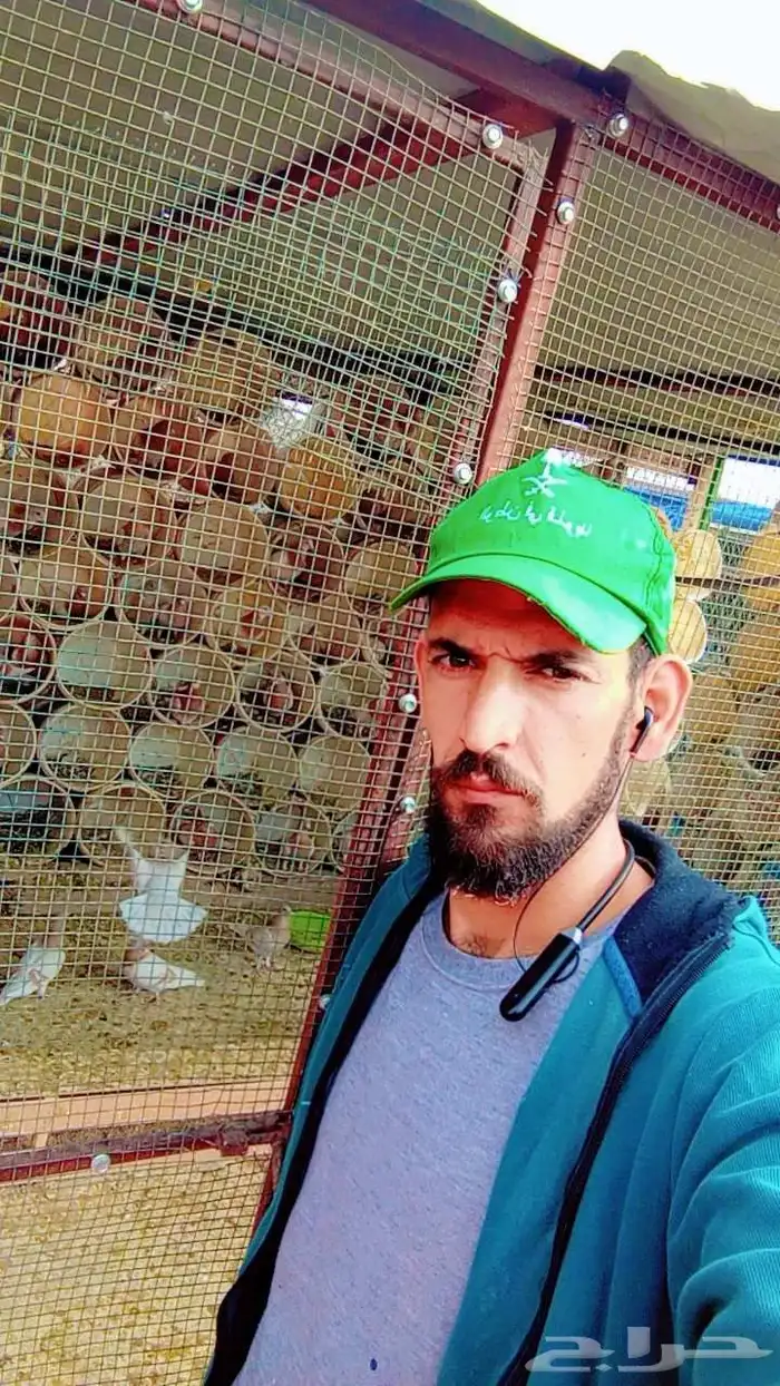 خبير فى مجال الحمام متابعة الإنتاج وتشخيص امراض وعلاجها 5