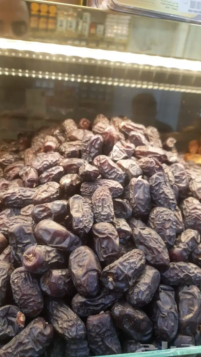 عجوه المدينه 1