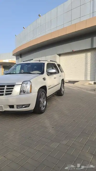 كاديلاك اسكاليد 2009 0