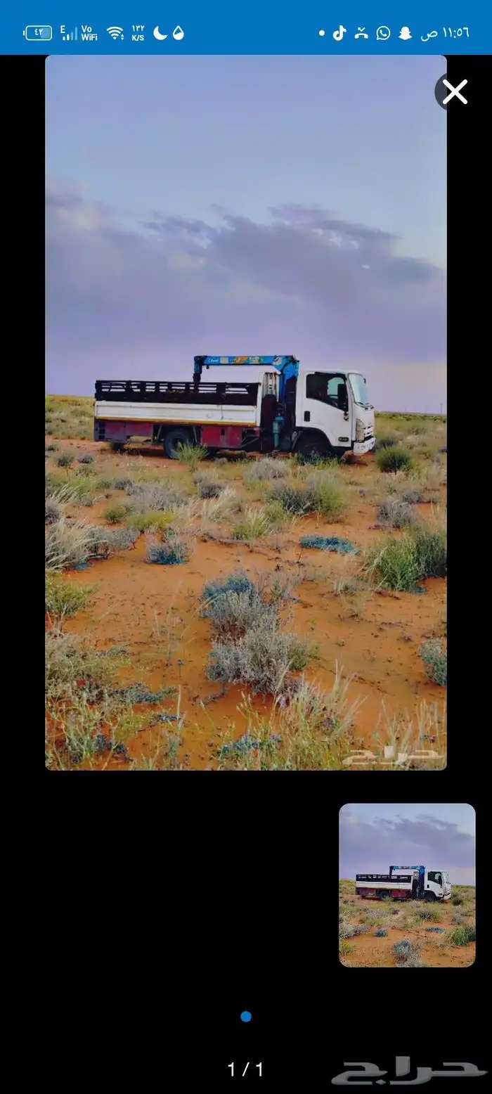 دينا ونش مشاوير نقل البل و كل شي تواصل مع 0