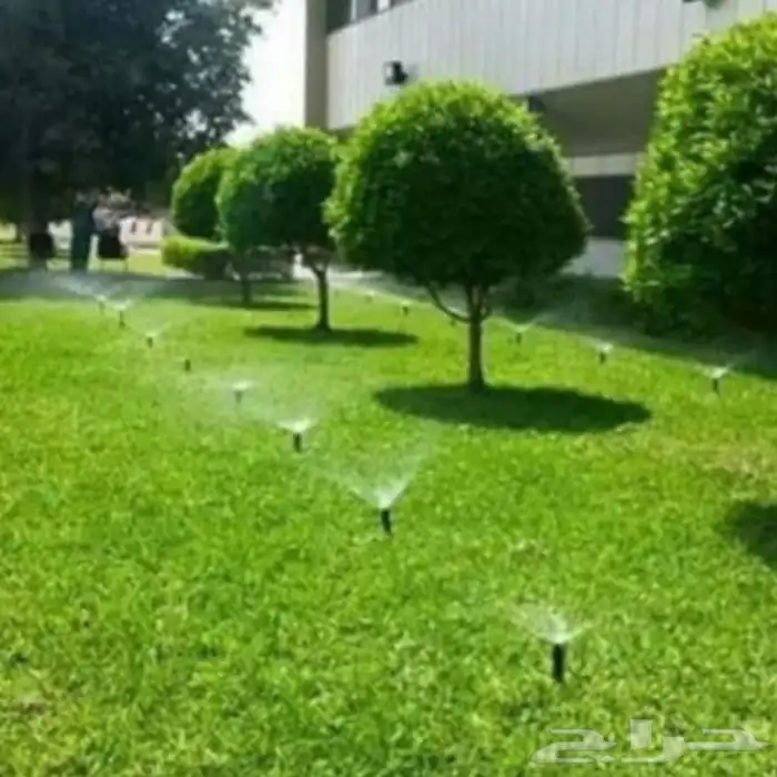 تنسيق حدائق 6