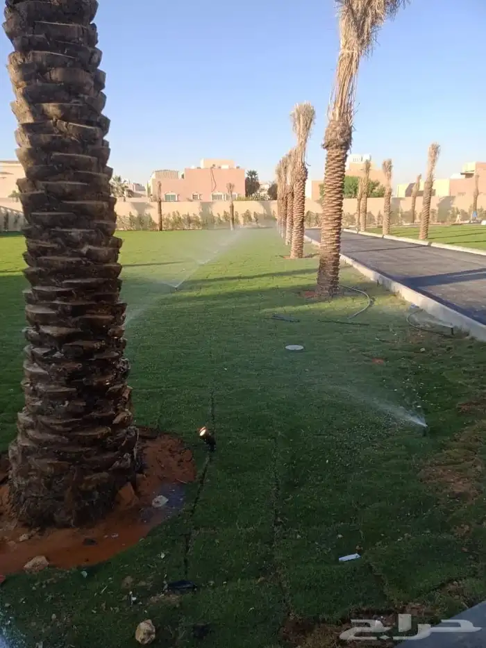 تنسيق حدائق 4
