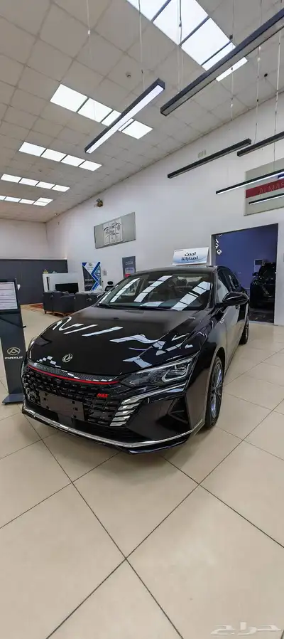 دونق فينق شاين ماكس 60 2024 و 2025 0