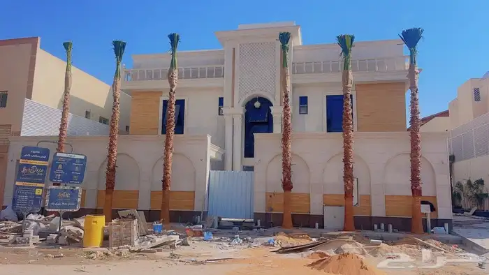 اشحار نخيل واشنطونيا ابومروحه للبيع 8