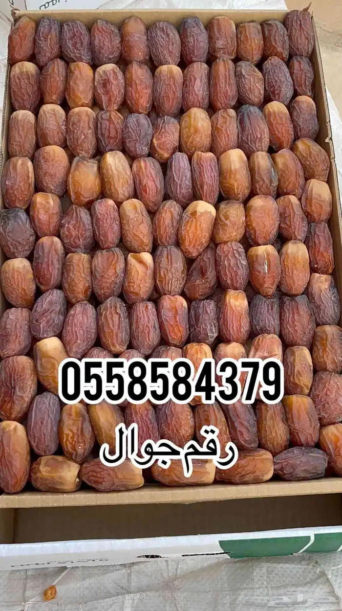 تمر مجدول للبيع 0