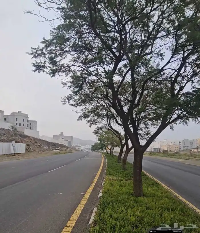 ارض تجاريه ابها 1